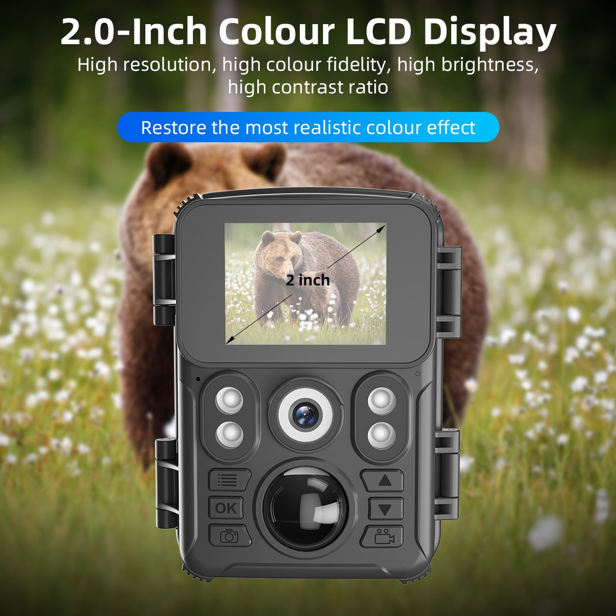 Factory Direct 720P HD Trail Hunting Camera Outdoor Wildlife Waterproof IR Night Vision Trail Camera Animal Trap Mini Camera