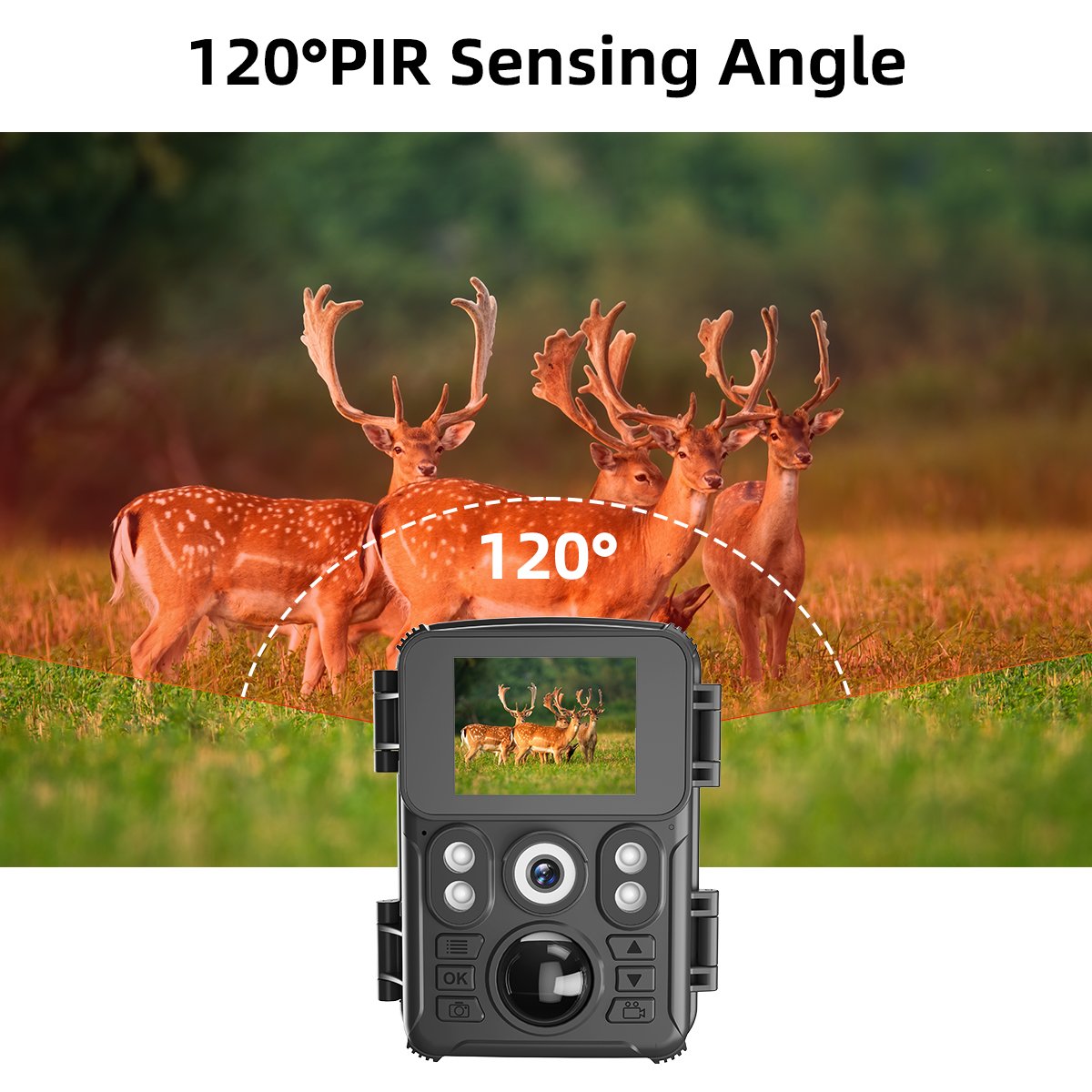 Factory Direct 720P HD Trail Hunting Camera Outdoor Wildlife Waterproof IR Night Vision Trail Camera Animal Trap Mini Camera