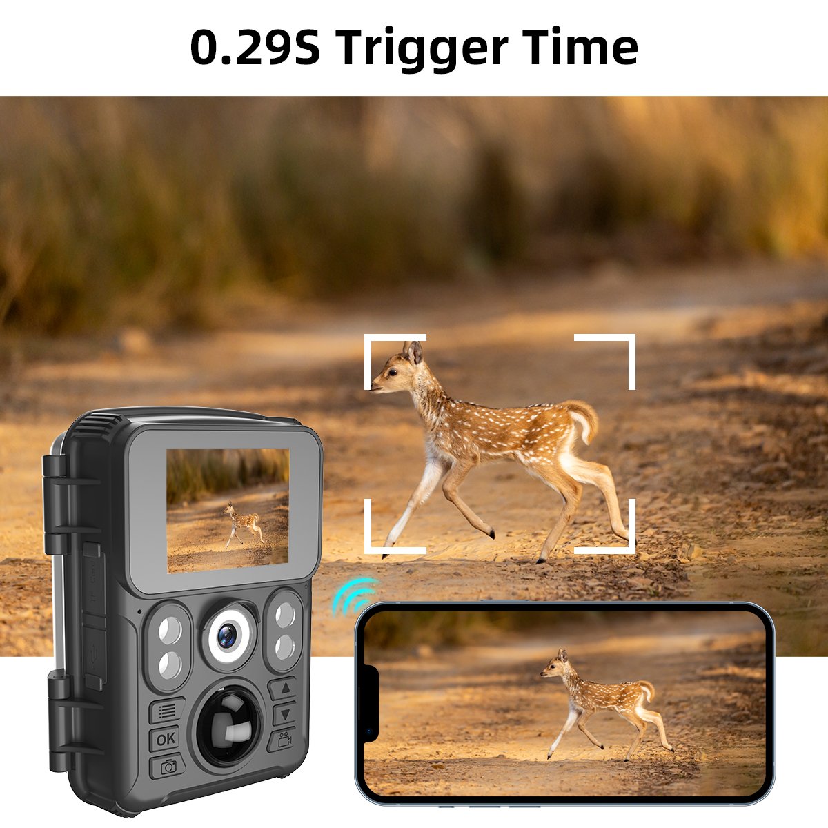 Factory Direct 720P HD Trail Hunting Camera Outdoor Wildlife Waterproof IR Night Vision Trail Camera Animal Trap Mini Camera