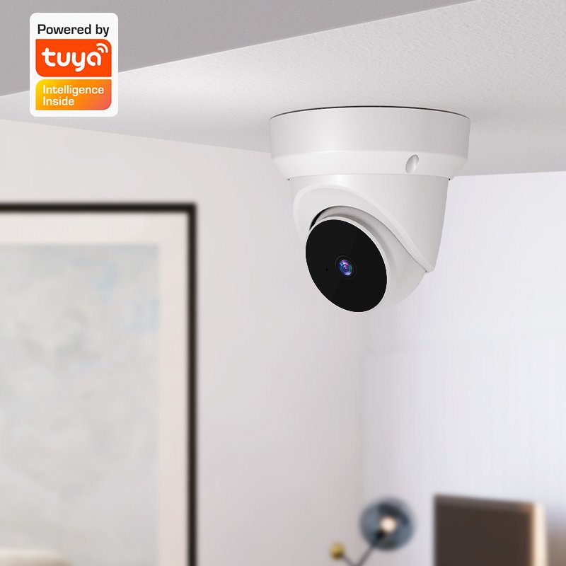 tuya smart APP cctv surveillance & ip camera wifi home security wireless camera