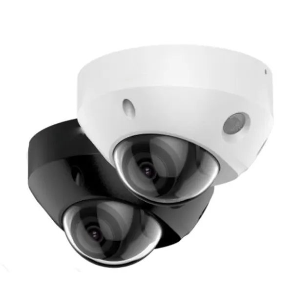 DS-2CD2543G2-I(WS) 4 MP AcuSense Built-in Mic Fixed Mini Dome Network Camera