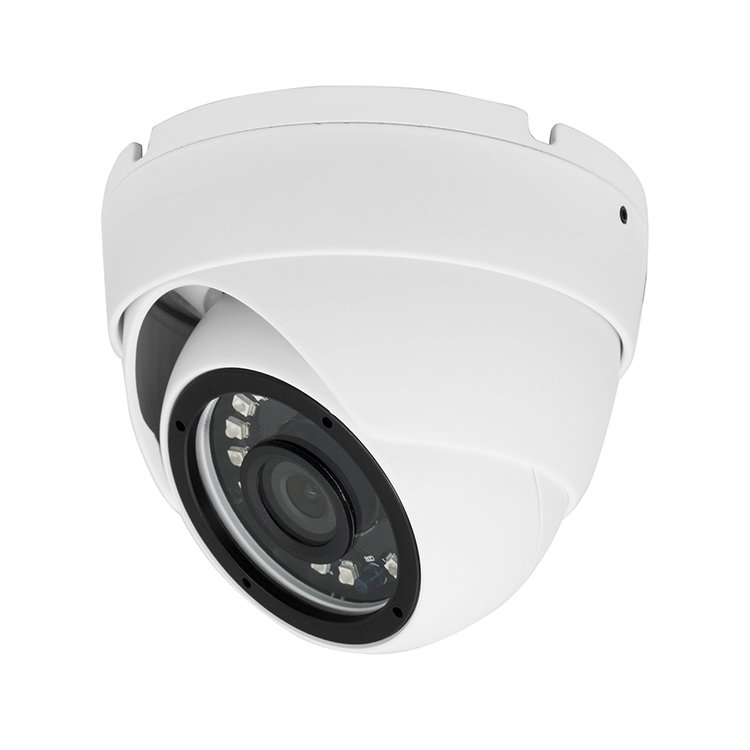 HD 1080P Sony IMX307 4in1 2MP Weather-Proof IR Remote OSD Support UTC Function HD Analog Eyeball Dome CCTV Camera