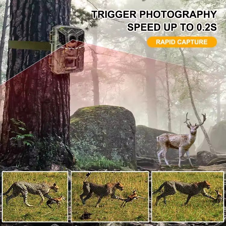 Mini hunting Camera DL006 Animal Surveillance Camera 1080P IR Wild Trail Camera 16MP Waterproof IP65 Motion Trigger Photo Traps