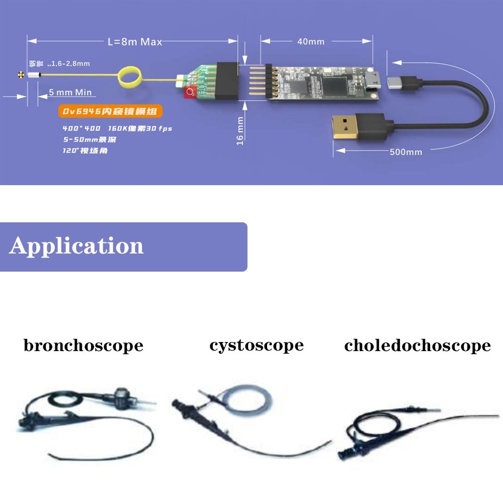 400*400 mini endoscope camera module medical camera ovm6946