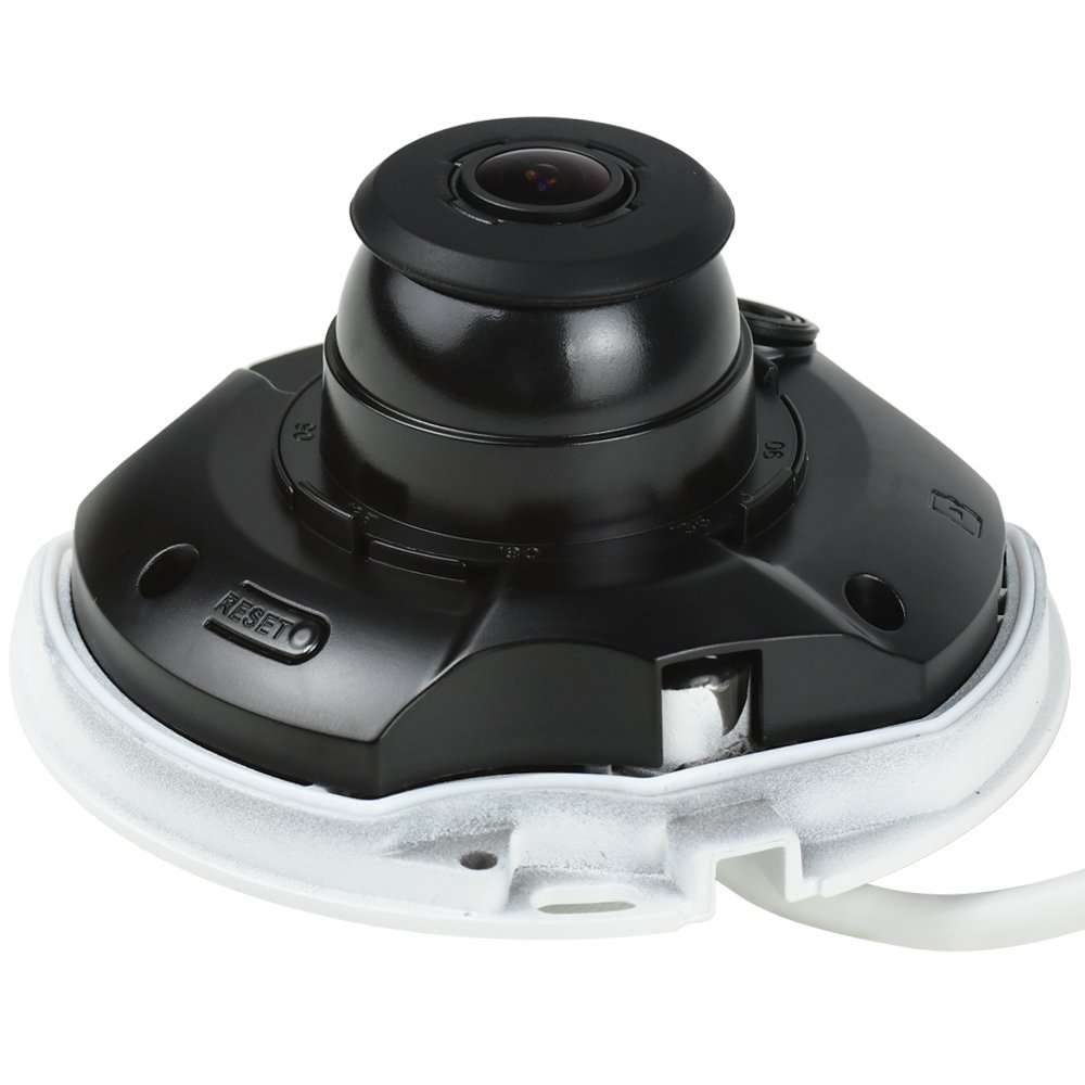 IPC-EB5541 IPC-EW5541 Original dahua 5MP with logo heatmap Panoramic mini Fisheye Network Camera camera IPC-EB5541P