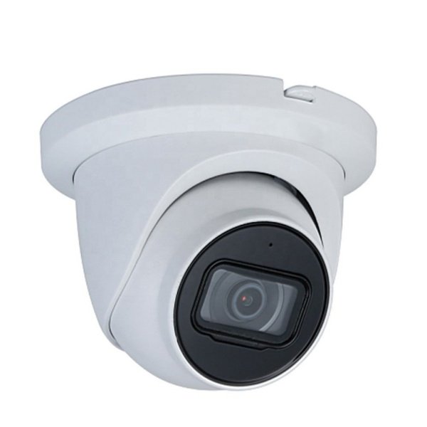 DH Original 4MP POE IP67 IR 30M IVS Starlight Eyeball Network Camera with H.265 SD Card Slot MIC IPC-HDW2431TM-AS-S2 Model