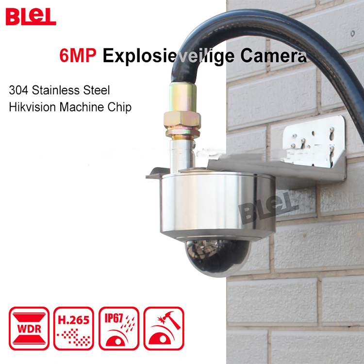 304/316 Stainless Steel Explosion-proof 360 camera 6MP HD Built-in Hik Mini camera Support PoE Hik-Connect app security camera