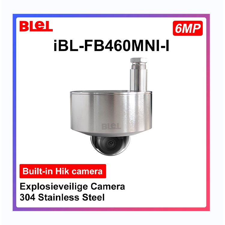 304/316 Stainless Steel Explosion-proof 360 camera 6MP HD Built-in Hik Mini camera Support PoE Hik-Connect app security camera