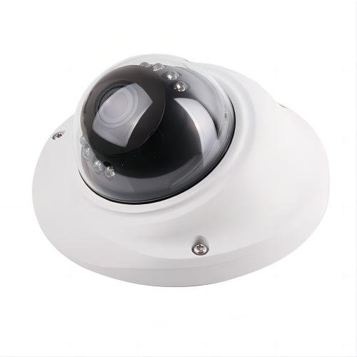 Surveillance Camera Expert Supply USB/IPC/Analog/AHD/CVBS Camera or Module,Dome/Bullet/ Camera Manufacturer