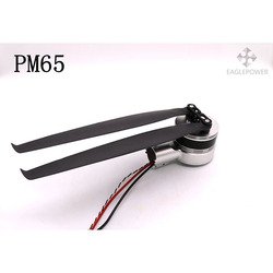 PM60