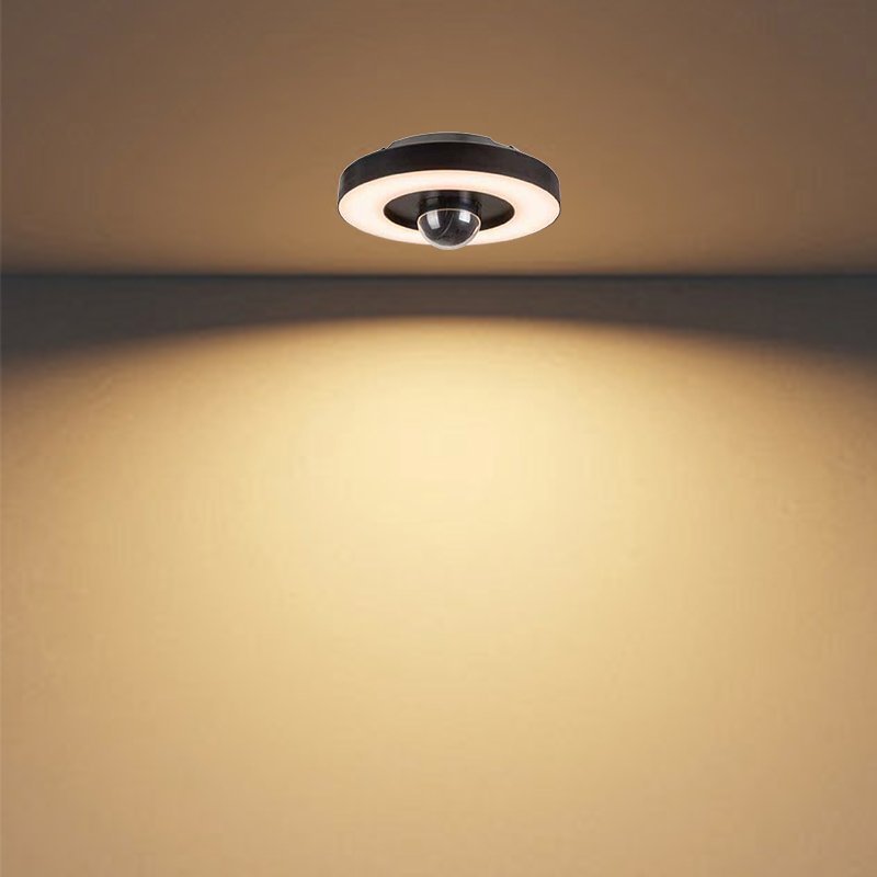Hot Sale Style Garden Security Light Can Video Conversation With Sensor Outdoor Wifi Light LED Security camera
