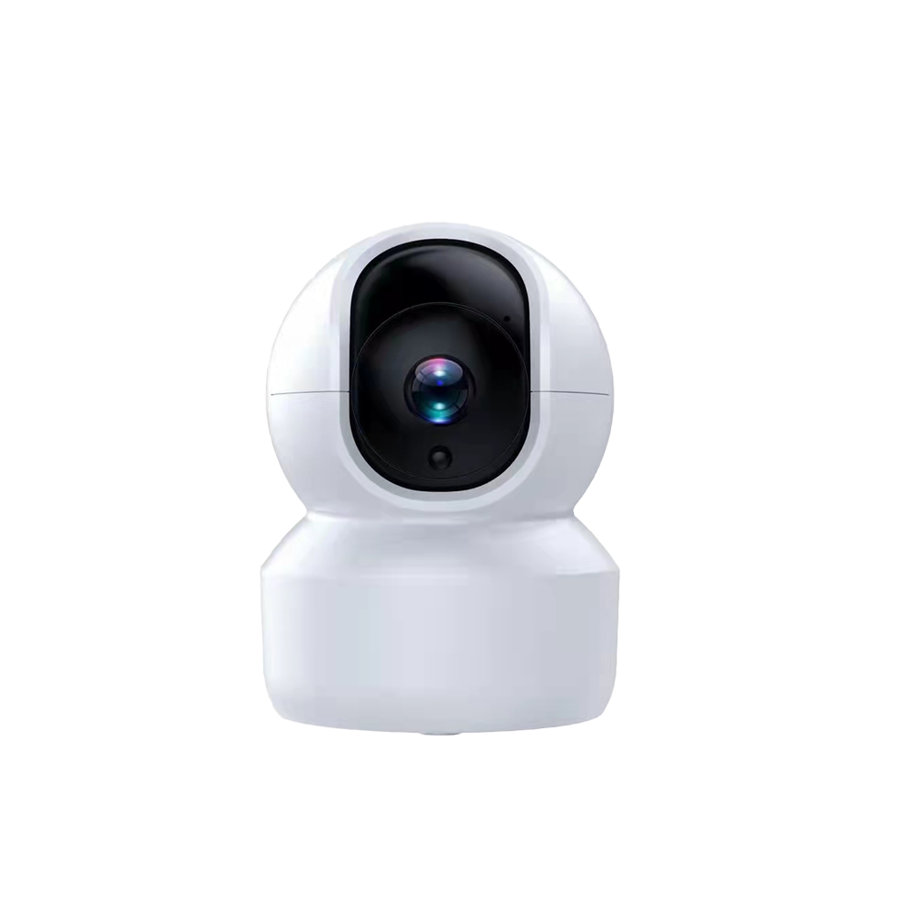 Supports Networking Remote Viewing Security Cameras