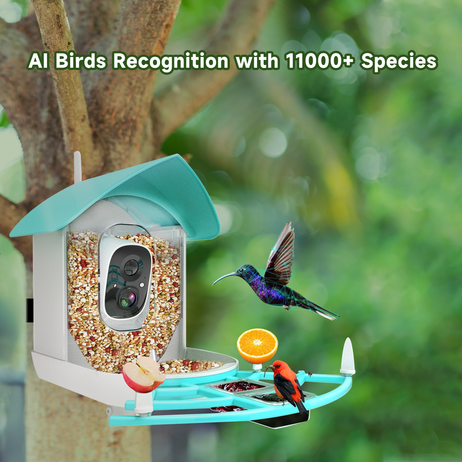 Ringsee 2.4 GHz Wi-Fi Smart Bird Feeder Camera Solar Charging 2.0MP HD Ip65 Weatherproof Network Camera for Outdoor Use
