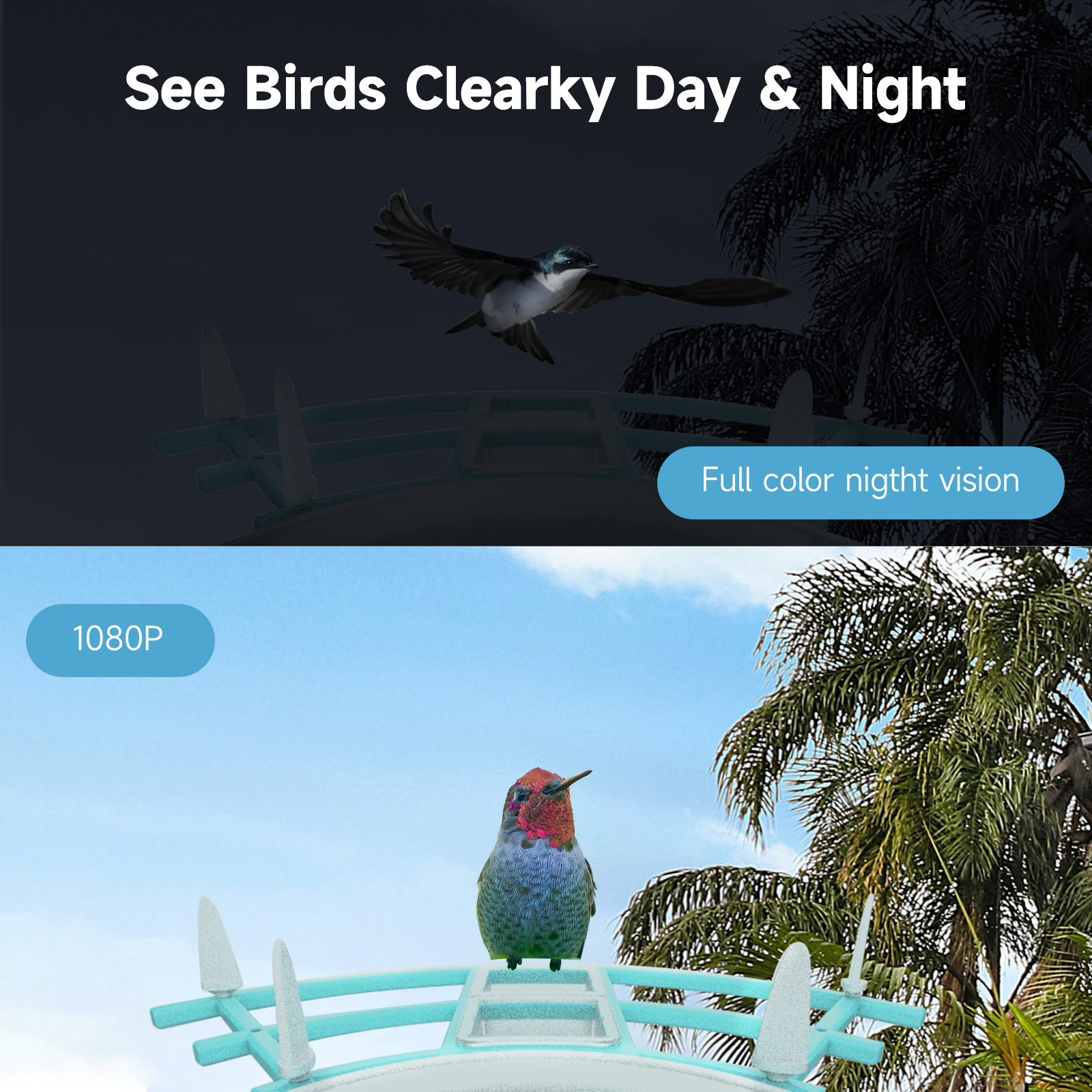 Ringsee 2.4 GHz Wi-Fi Smart Bird Feeder Camera Solar Charging 2.0MP HD Ip65 Weatherproof Network Camera for Outdoor Use