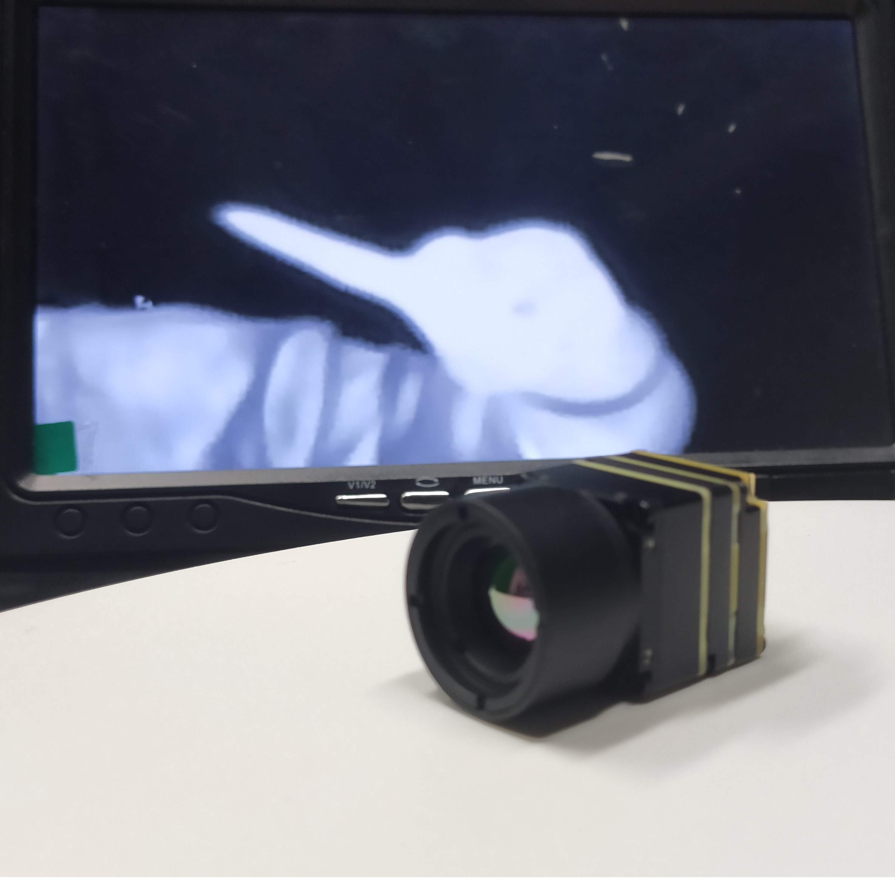 New Thermal 640*512 OEM CVBS Analog Interface Camera Module High Resolution Thermal Imager