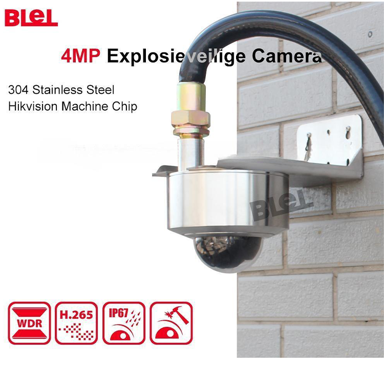 High-speed Stainless Steel Explosion-proof 360 Camera 4MP Built-in Hik Mini Camera Support PoE Hik- App Security Camera