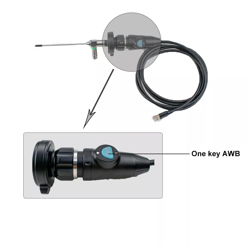 Portable USB Endoscope Camera Small Endoscopy Unit for Animals and Humans Ent Surgeries