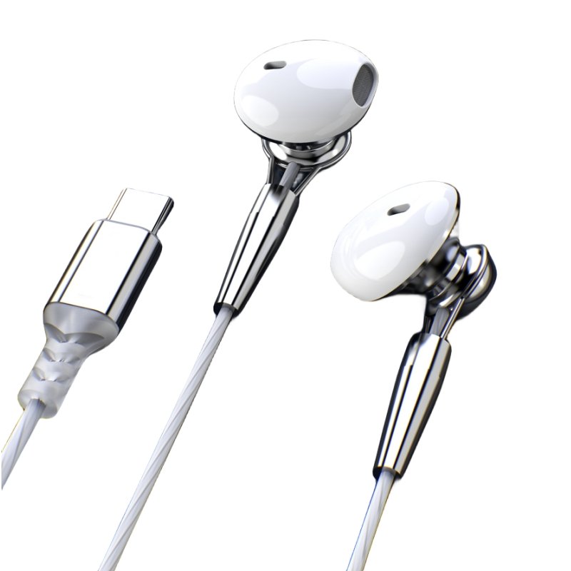 WUDIJIMO USB C Digital decoded metalmusic Headphones with Mic Wired in-Ear USB Type C Earbud Earphones