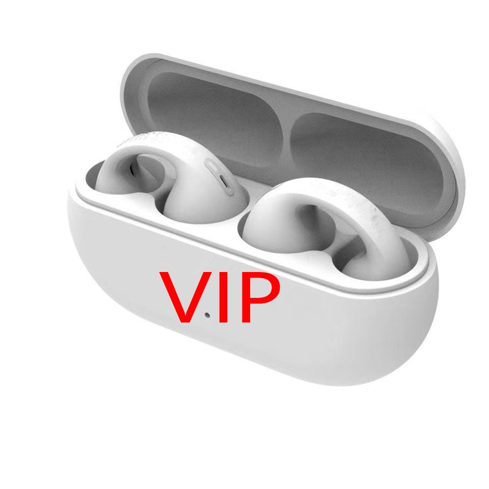 2024 Promotion VIP Customer Noise canceling ANC Earphones and Headphones