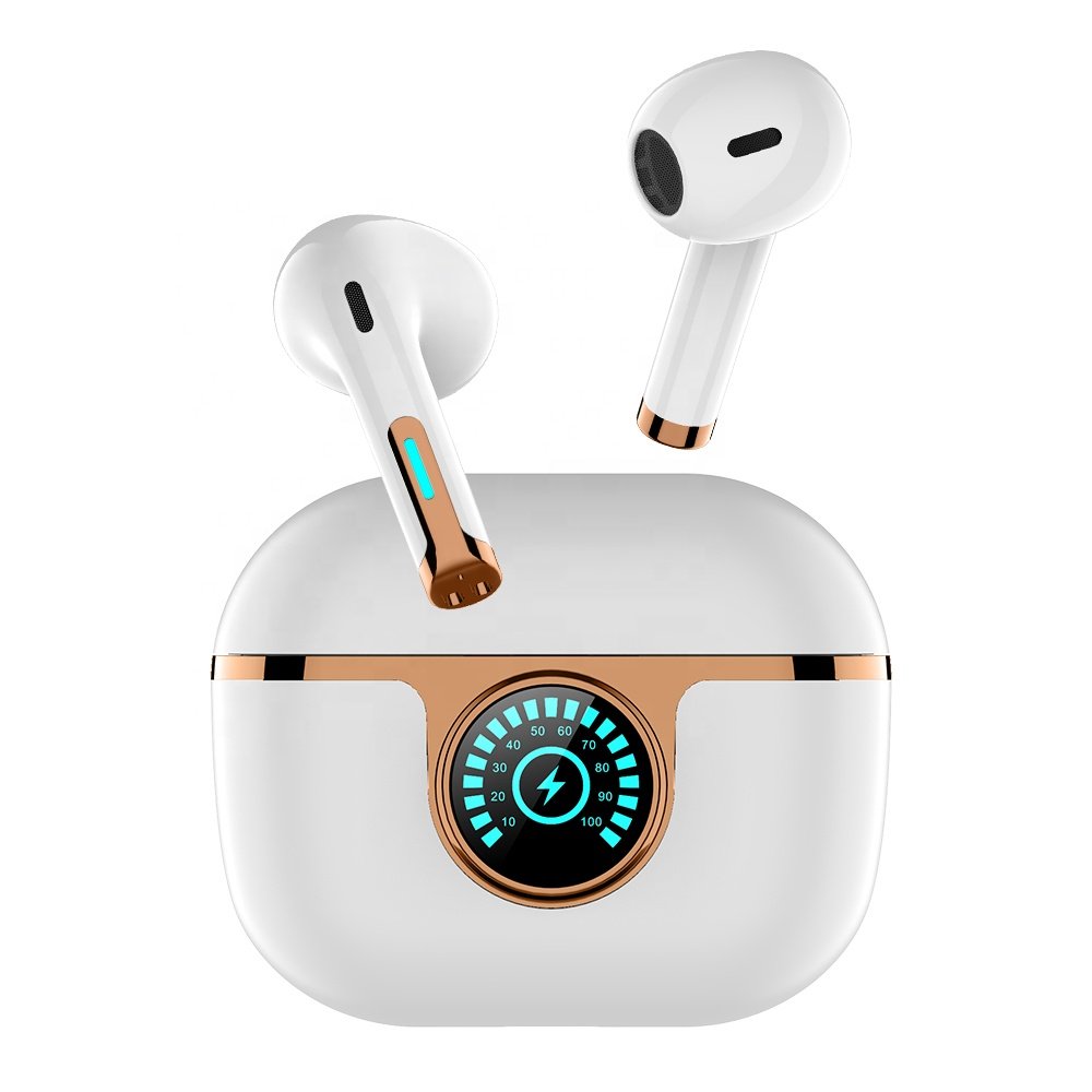 Wireless Charging Bluetooth Earbuds Support Wireless Charging Dual Mic Noise Cancellation Type-c Earphone