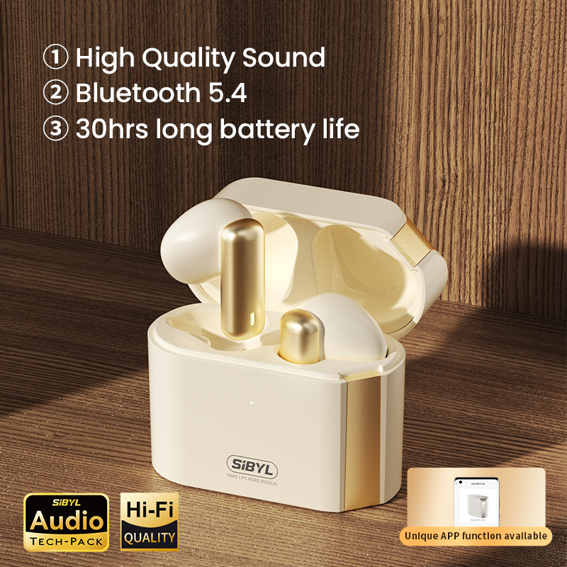 TWS Earbuds 2024 Headphone V5.4 Wireless TWS Earphone Touch Control Earbuds Microphones ENC Call OEM TWS Earbuds 2023
