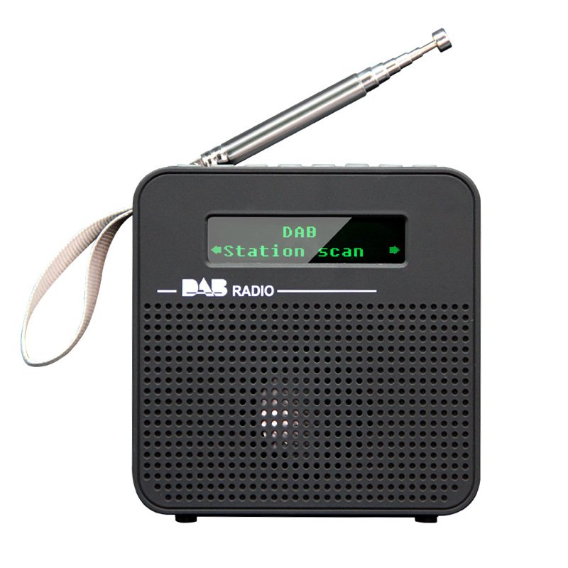 Portable DAB+ Radio FM BT Alarm Clock Stations Memory Outdoor Wooden Radio Stereo DAB FM Digital Radio