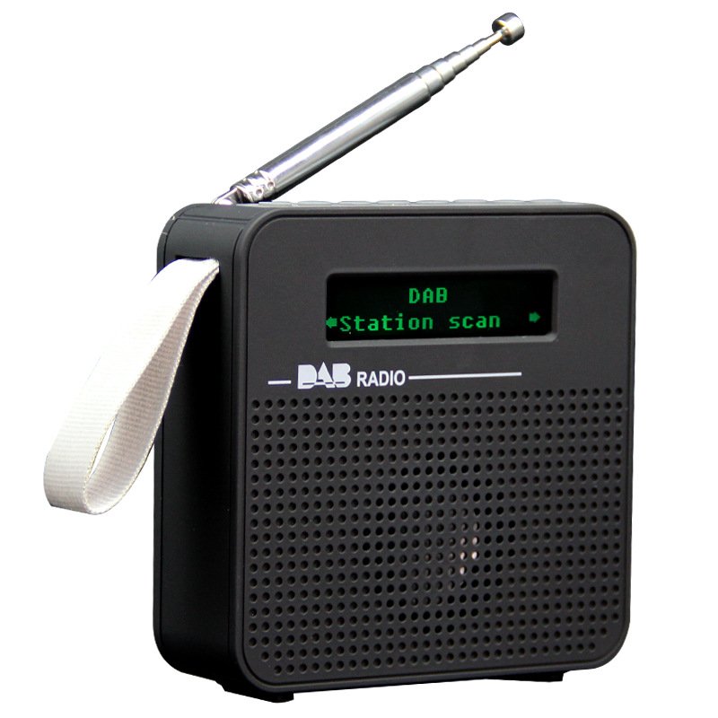 Portable DAB+ Radio FM BT Alarm Clock Stations Memory Outdoor Wooden Radio Stereo DAB FM Digital Radio