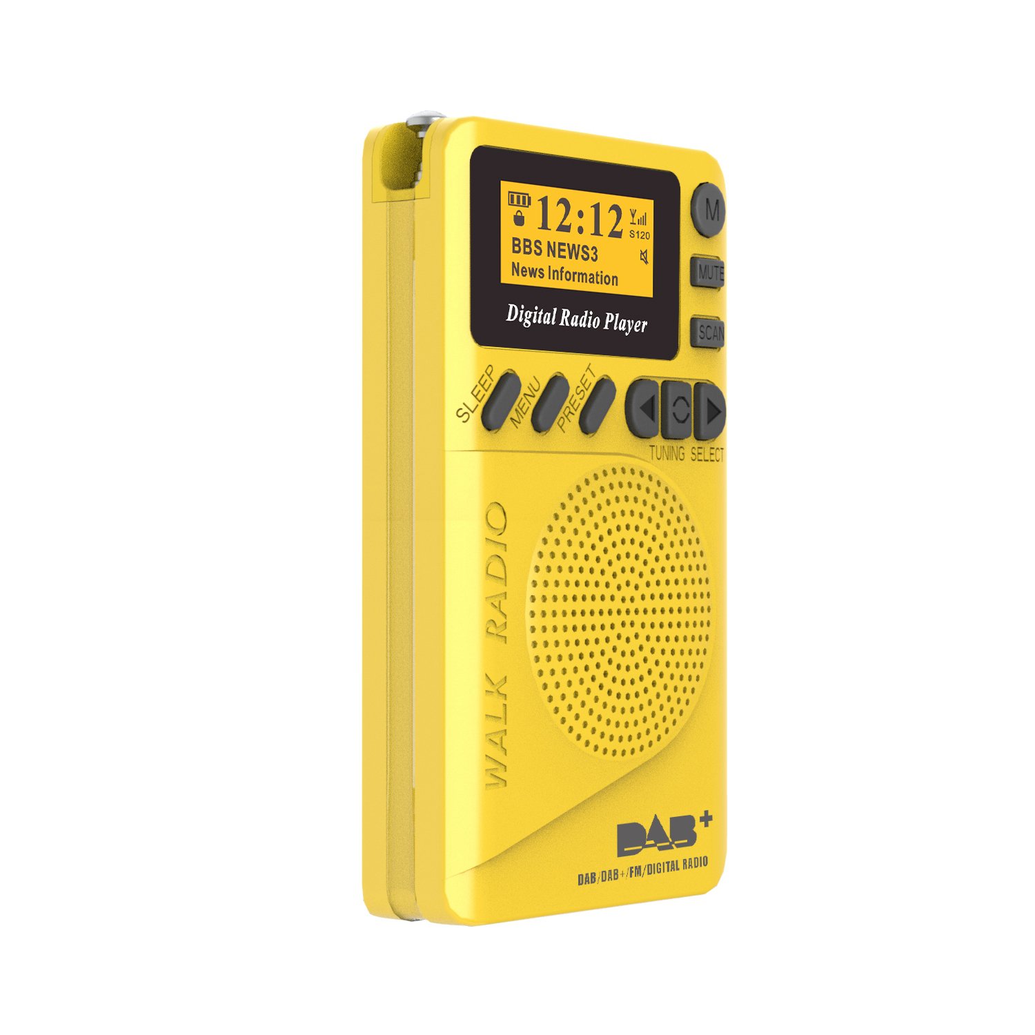 Portable DAB/DAB+ FM digital Radio with and SD Card Player,MP3 Player support stations presetting