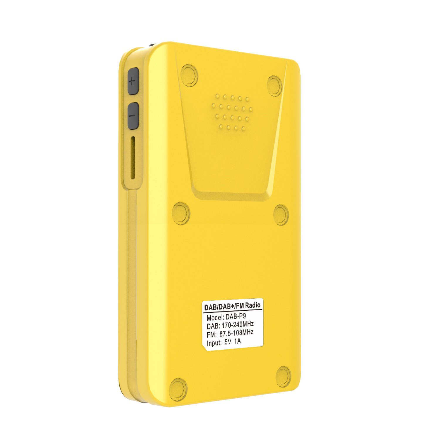 Portable DAB/DAB+ FM digital Radio with and SD Card Player,MP3 Player support stations presetting