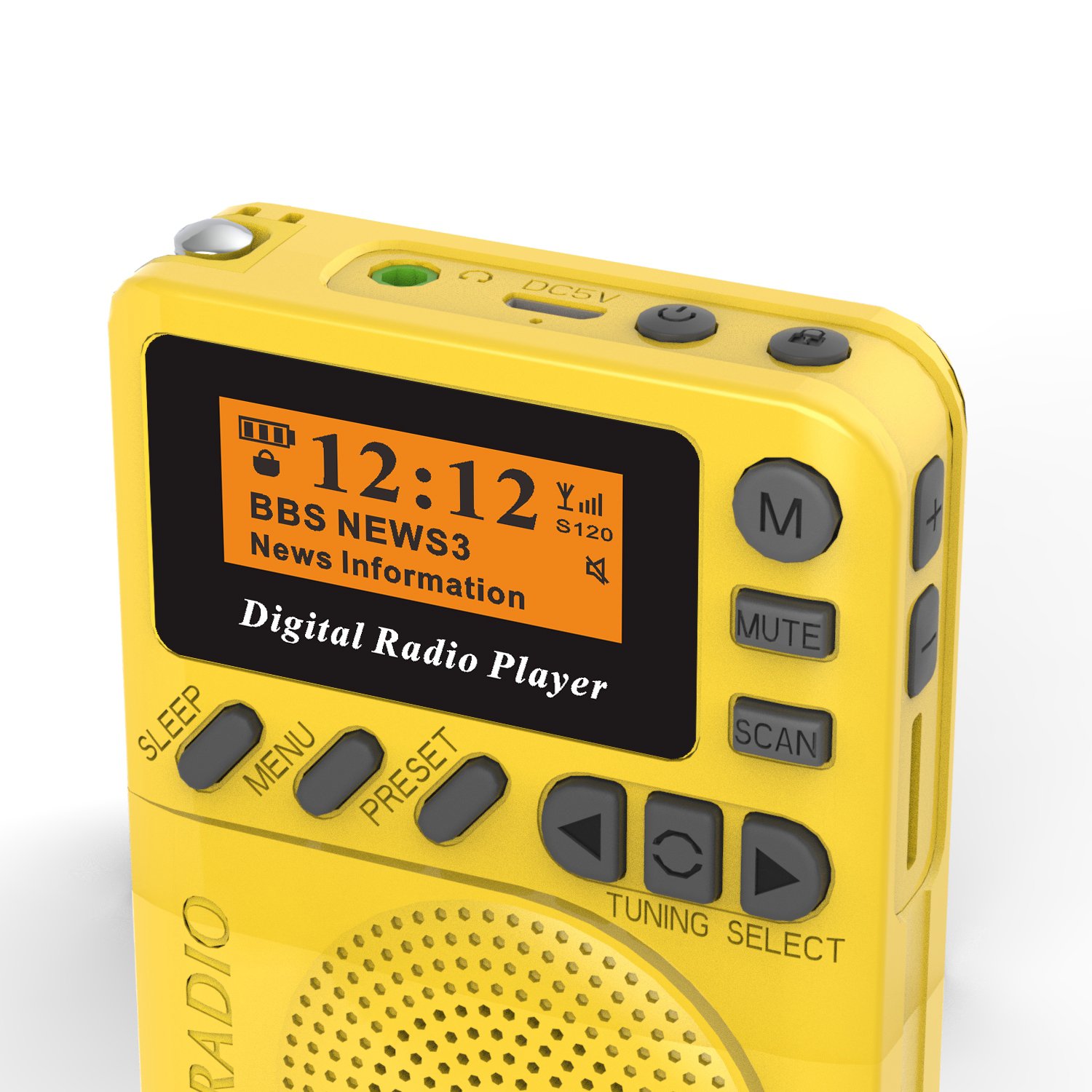 Portable DAB/DAB+ FM digital Radio with and SD Card Player,MP3 Player support stations presetting