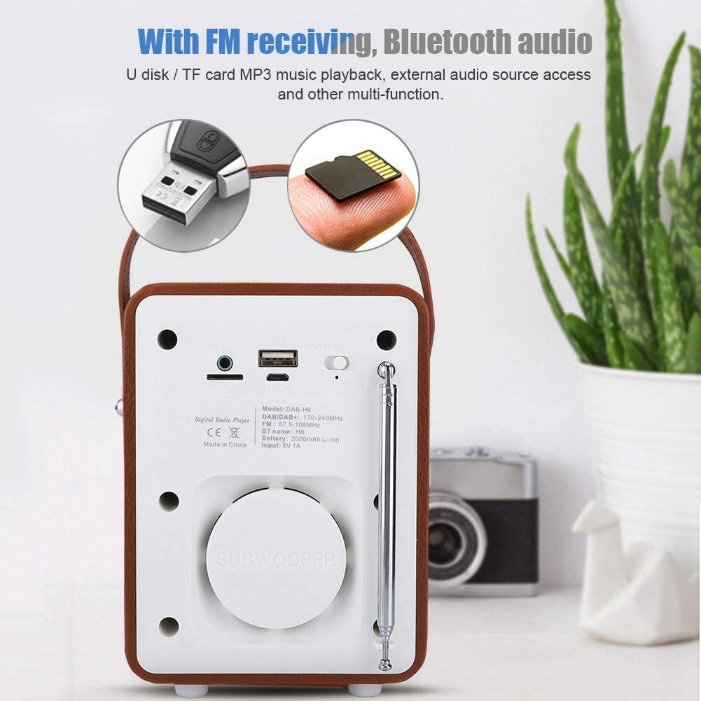 Portable DAB/DAB+ FM Radio with Blue tooth Speaker and SD Card Player,MP3 Player support stations presetting