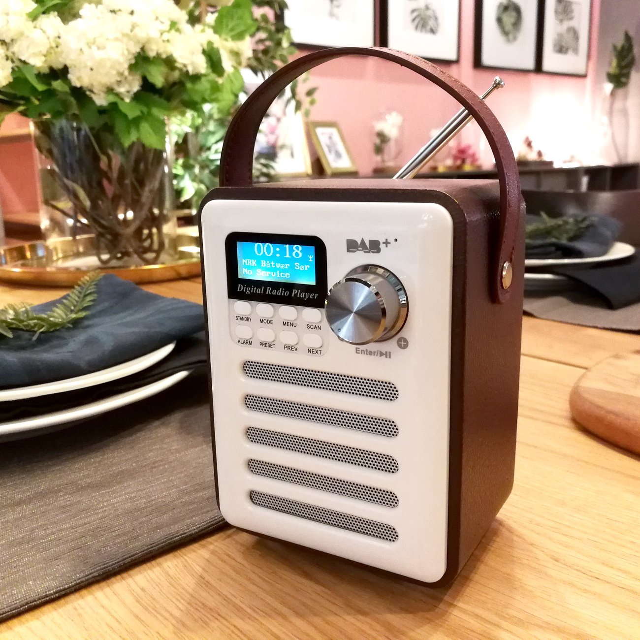 Portable DAB/DAB+ FM Radio with Blue tooth Speaker and SD Card Player,MP3 Player support stations presetting