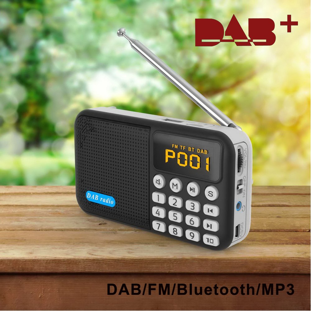Portable DAB/DAB+ FM Radio with Blue tooth Speaker and SD TF Card USB Player