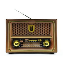 YG-221BT
