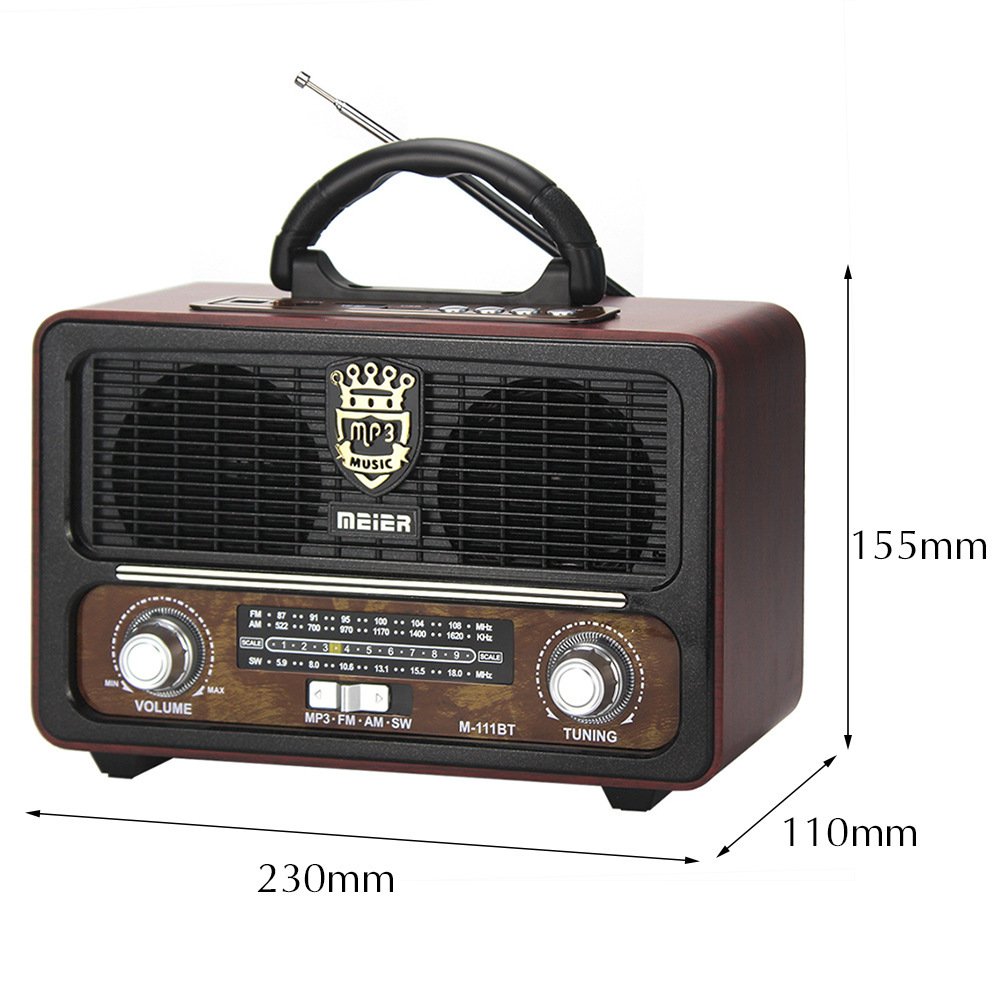 Rechargeable AA Battery Power Pocket Remote Control FM AM SW Antenna Radio Built with Speaker TF SD Supported