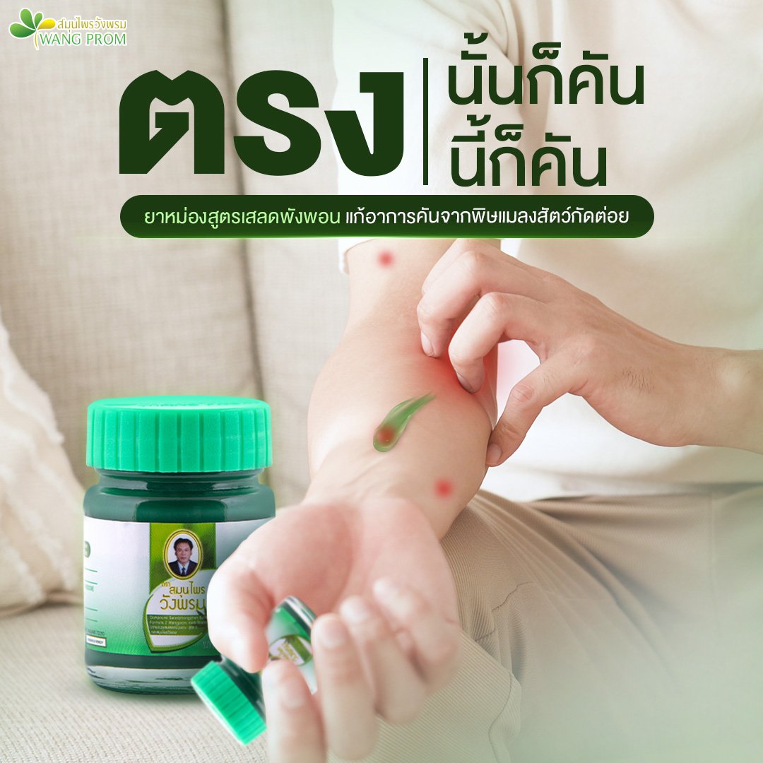 Thai Herbal Balm Massage (100g) Muscle Pain Arthritis Body Joint Pain Painkiller Antipruritic Cooling Balm For Insect Bites