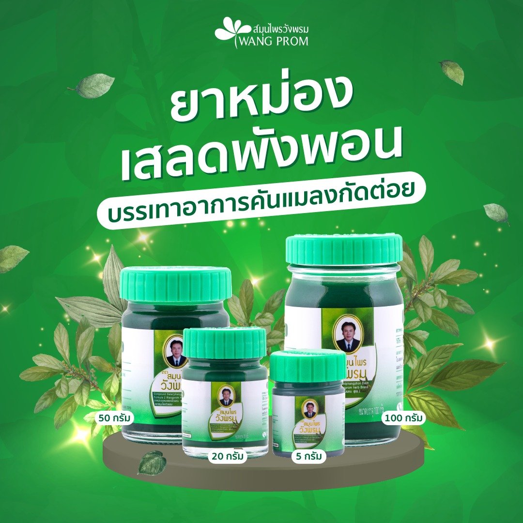 Thai Herbal Balm Massage (100g) Muscle Pain Arthritis Body Joint Pain Painkiller Antipruritic Cooling Balm For Insect Bites
