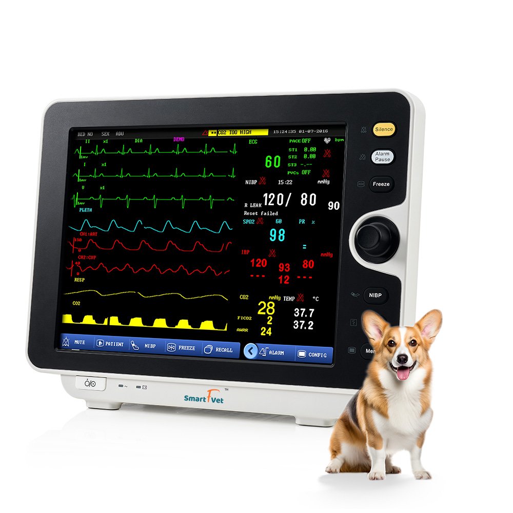Vet Clinic Patient Monitor for VeterinaryVet Clinic use blood pressure monitor ECG monitor