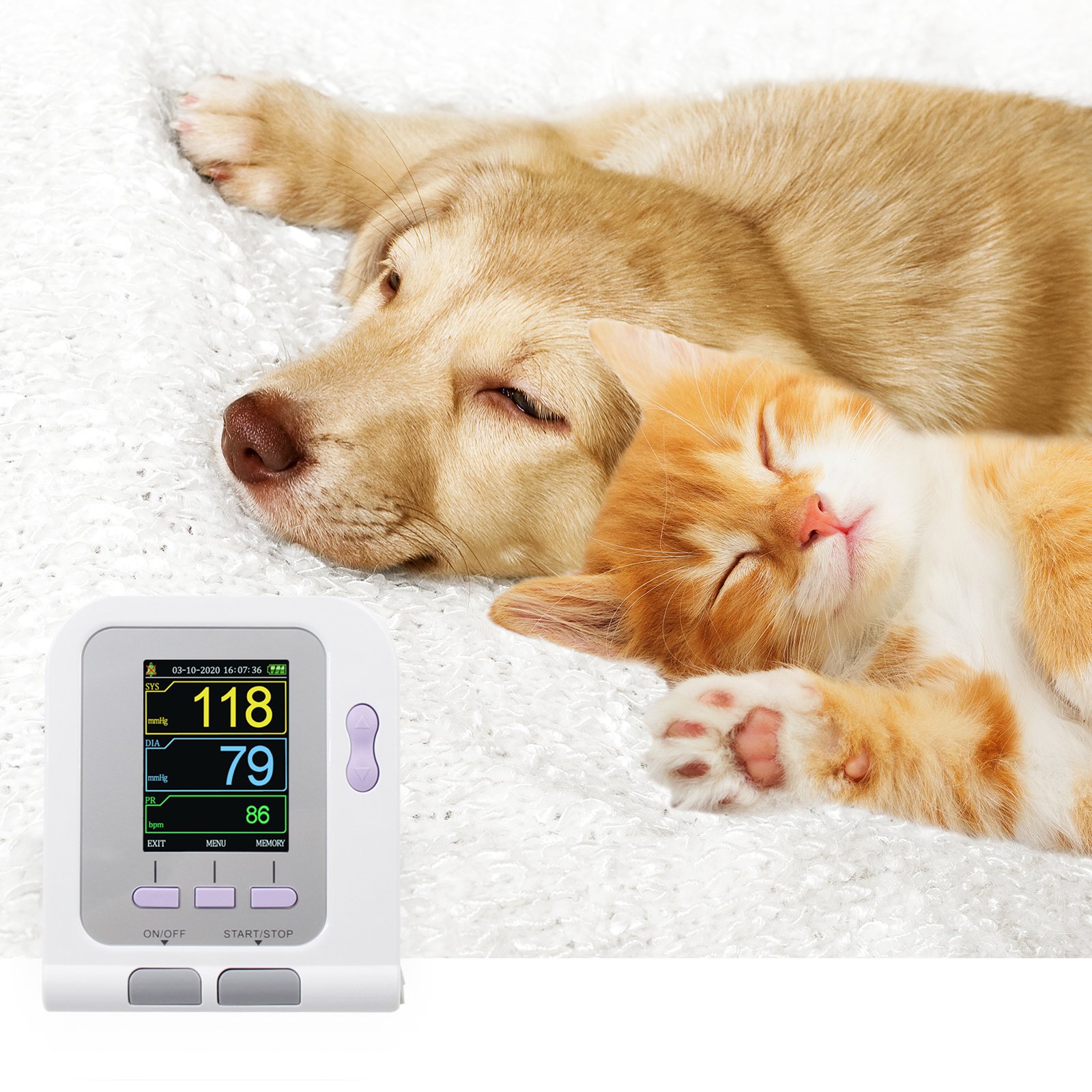 CONTEC08A-Vet Digital animal bp machine blood pressure monitor/vet sphygmomanometer