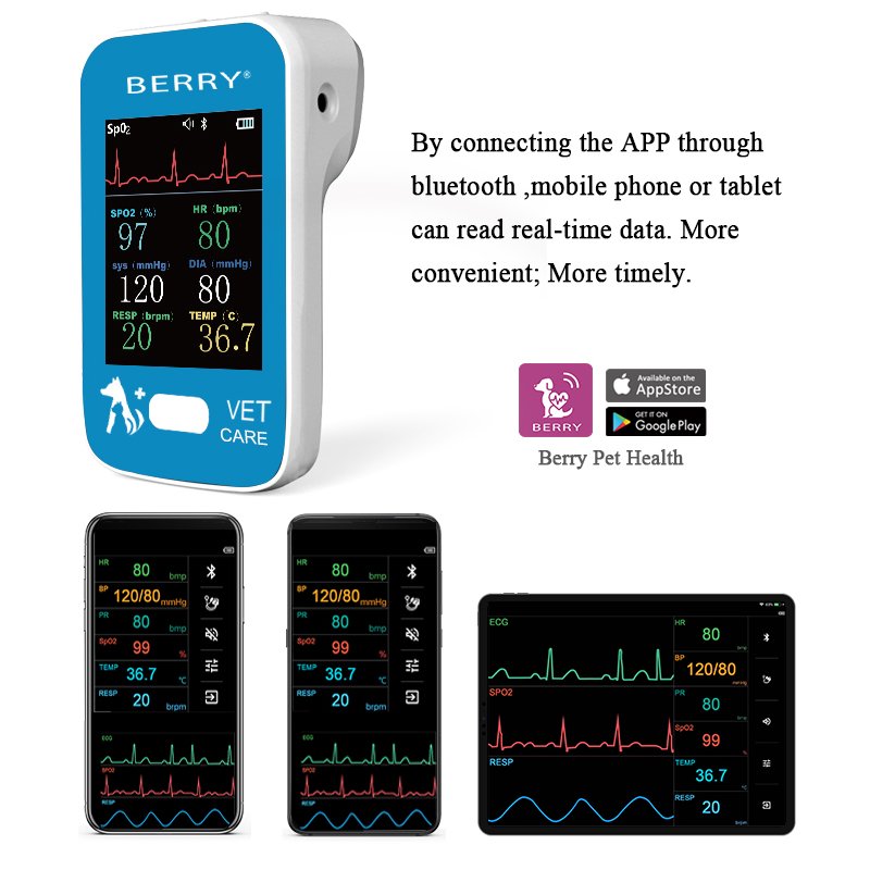 BEERY Am6200 Cat blood pressure monitor dog Dog patient monitor Dog health monitor