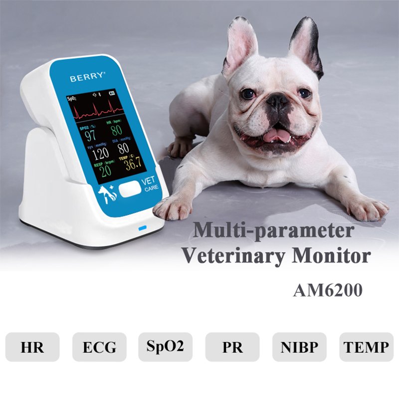BEERY Am6200 Cat blood pressure monitor dog Dog patient monitor Dog health monitor