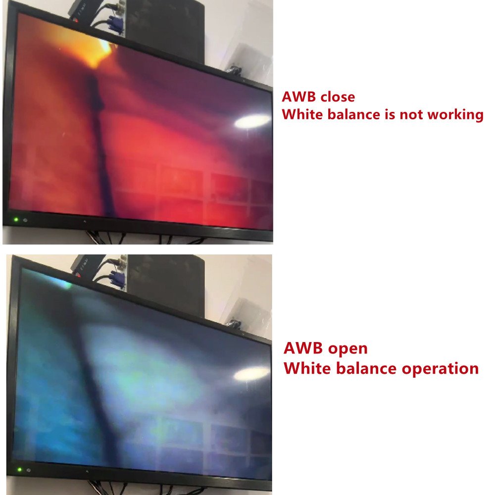 Animal Veterinary Medical AWB Endoscope Module CCD Mini Bullet Video Camera Module Security Analog Camera One-key AWB Switch