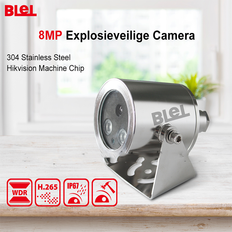 8MP Panoramic POE Explosion Proof Network Camera for Car Security Surveillance 4k Support OEM POE Powder Supply