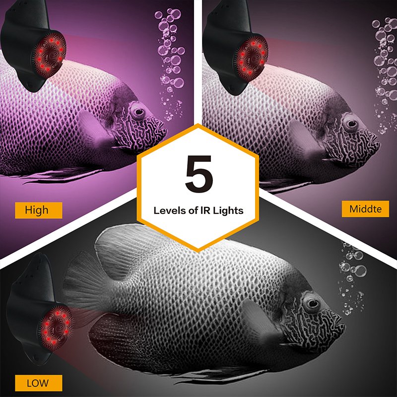 Factory price visual fishing gear with 1000TVL camera and 4.3 inches IPS screen