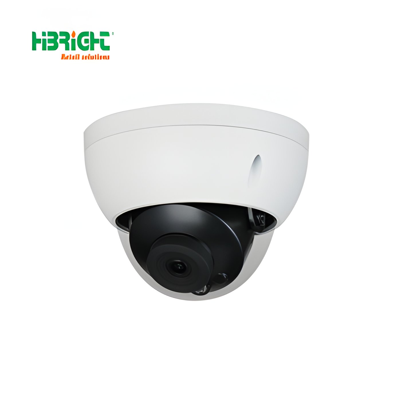 Highbright Commercial 4MP Supermarket Convenience Store Indoor/Outdoor Conch Network Camera