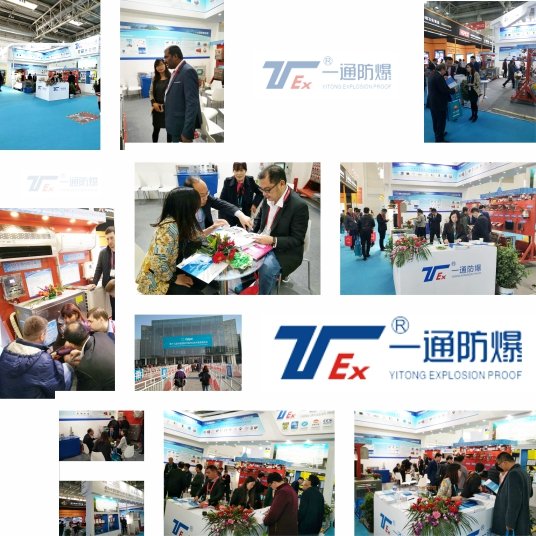 Group 1protected MA Mining use Explosion Proof Security Camera Explosion proof CCTV camera Exd I Mb