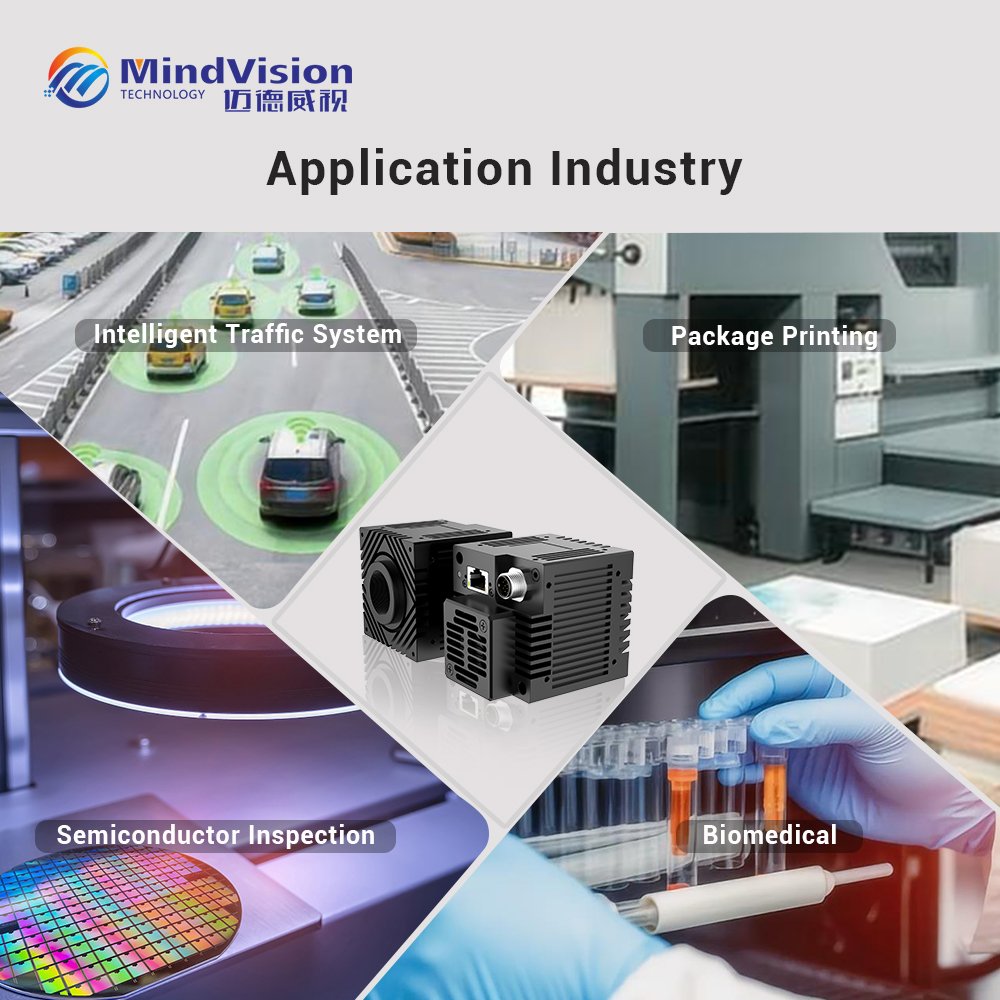 MindVision High Speed 10GigE Industrial Camera 164FPS 2/3'' Digital camera CMOS Global Shutter Area Scan Machine Vision C-Mount