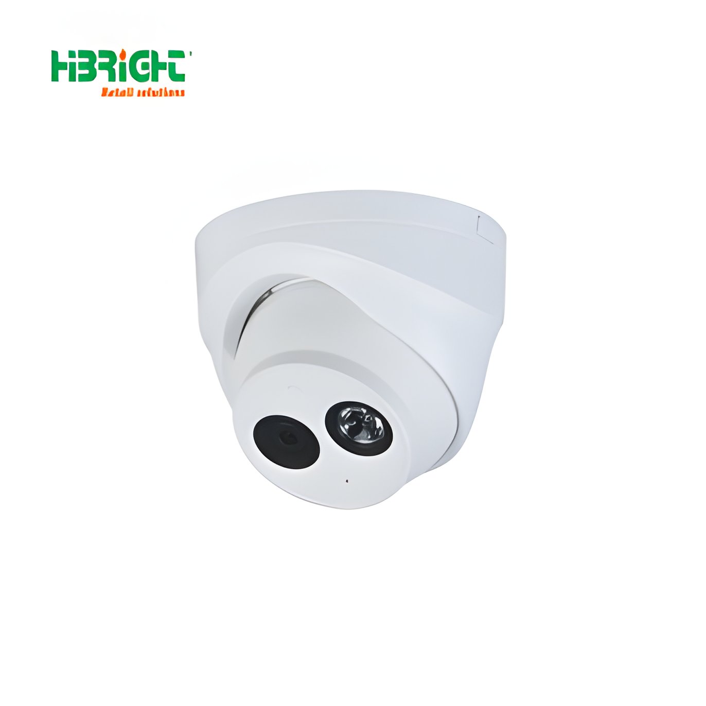 Highbright Commercial Supermarket Indoor Outdoor Intelligent Hemisphere Network Camera