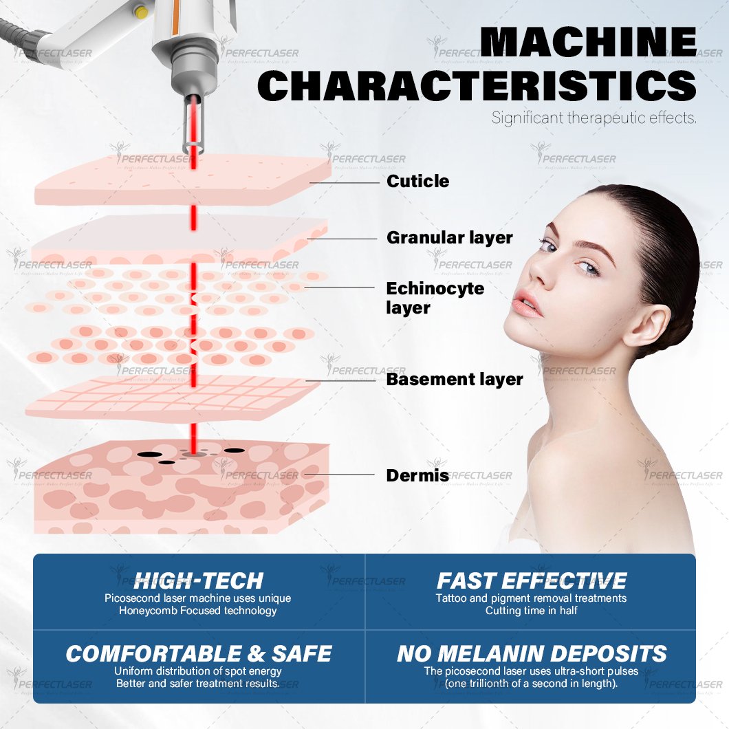 Perfectlaser 2024 Best nd yag Laser Picosecond Tattoo Removal Machine Price 4 Wavelengths Portable Q Switched Pico Laser Machine