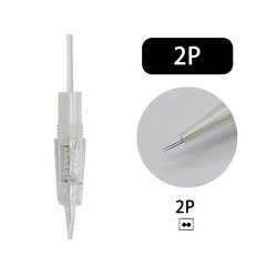 2P